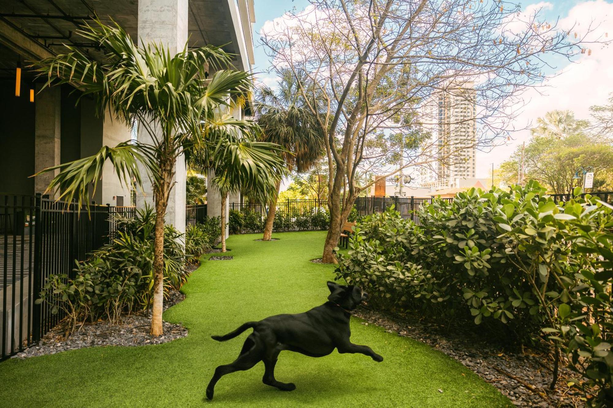 Flow Fort Lauderdale Hotel Экстерьер фото